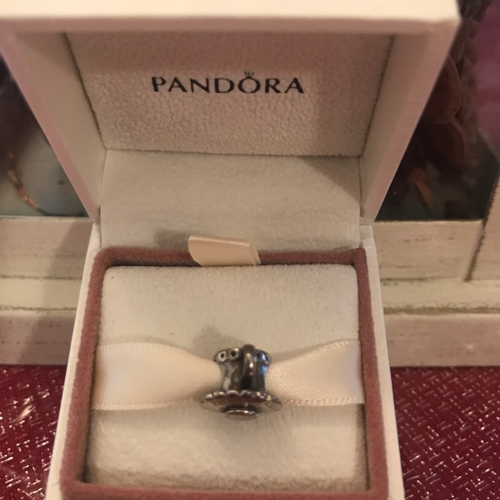 Pandora Charm